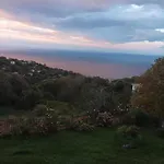 Diogenis