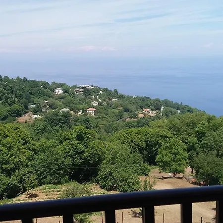 Hotel Diogenis
