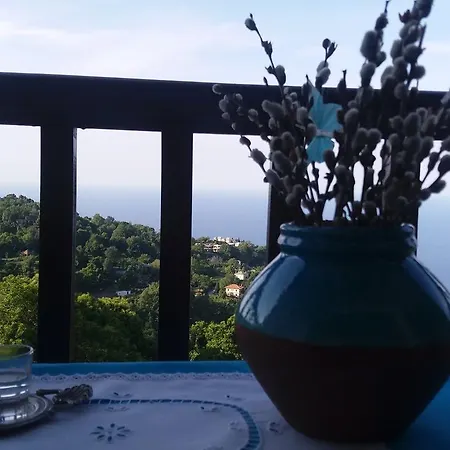 Hotel Diogenis 2*