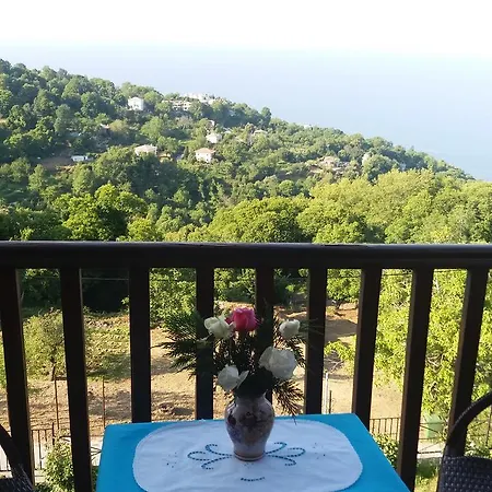 Hotel Diogenis
